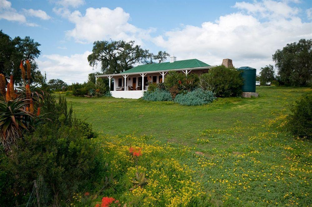 Leeuwenbosch Country House - שמורת הטבע אמקאלה מראה חיצוני תמונה