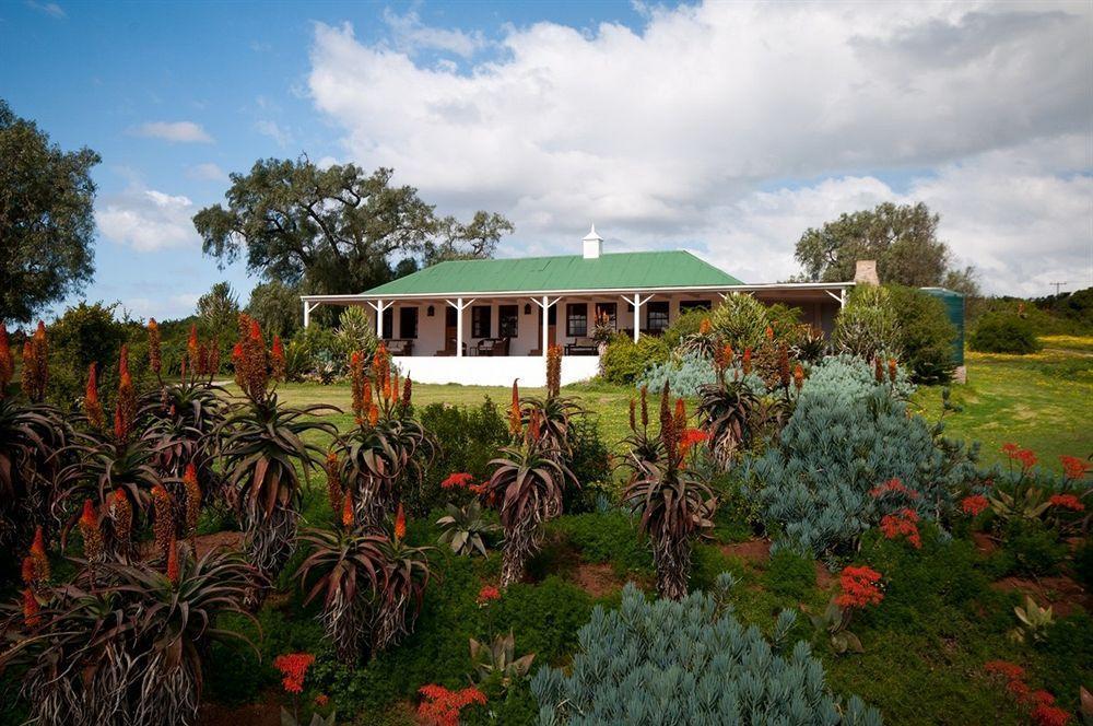 Leeuwenbosch Country House - שמורת הטבע אמקאלה מראה חיצוני תמונה