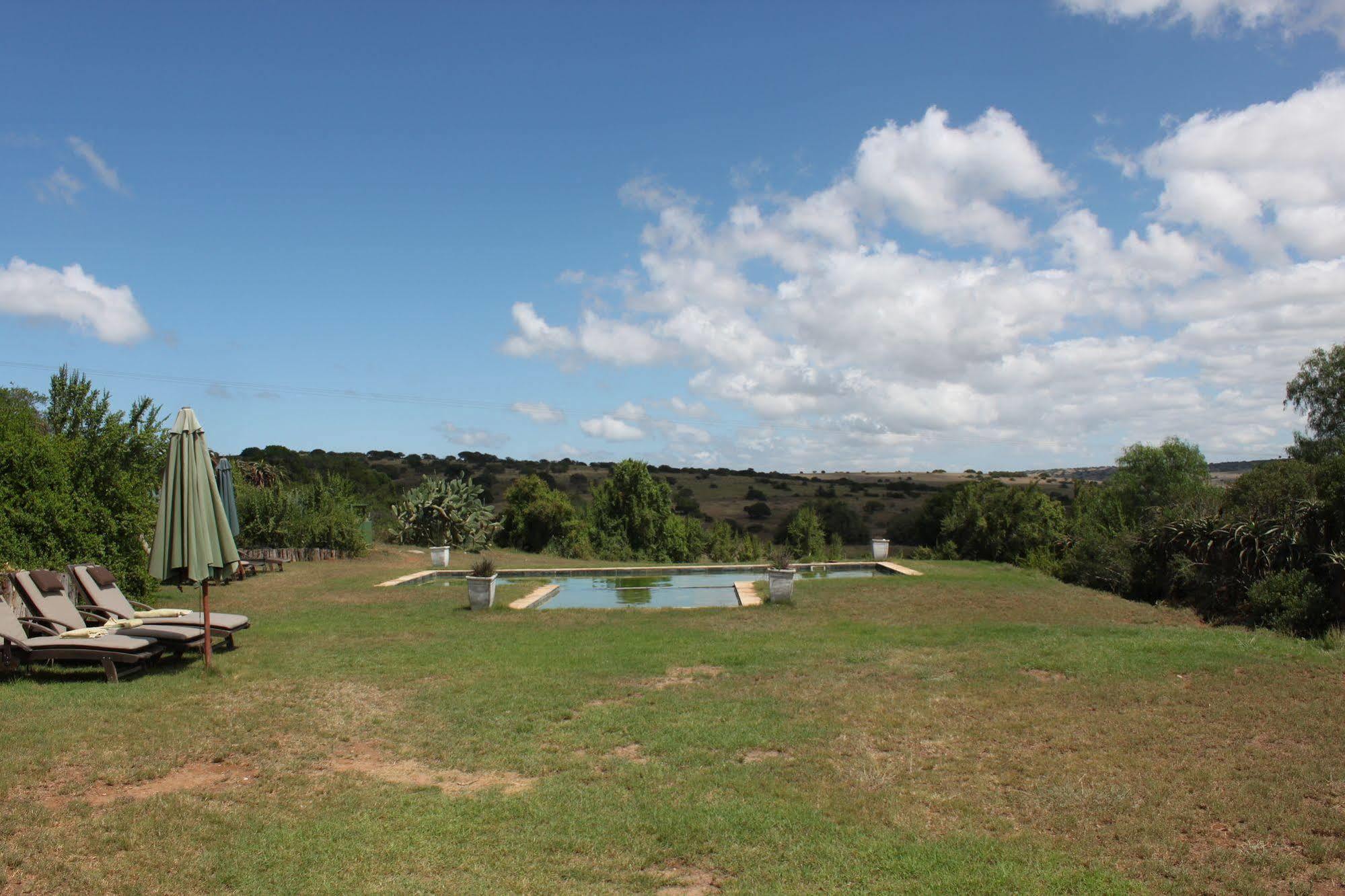 Leeuwenbosch Country House - שמורת הטבע אמקאלה מראה חיצוני תמונה
